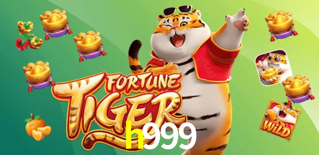 Experiência VIP h999